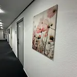 Bavaria Immobilien